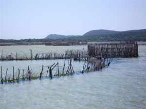 Kosi Bay - 23 Dec 2009 114