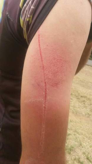 FB_IMG_1446841622854